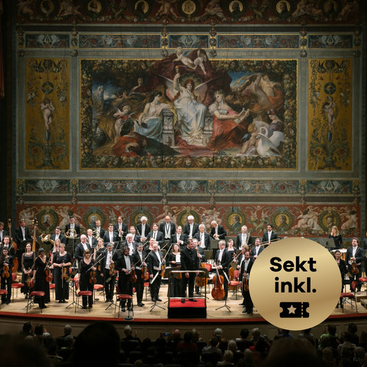 Gruppenfoto des Dresdner Festspielorchesters auf einer Bühne vor einer Wand mit einem großen antiken Gemälde